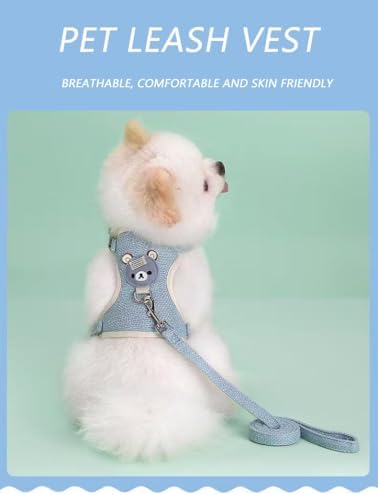 Soft pet vest harness and leash set for small dogs and cats